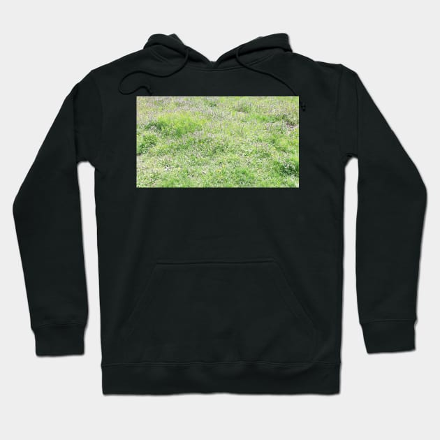 Spring grass, meadow, green nature photo Hoodie by grafinya